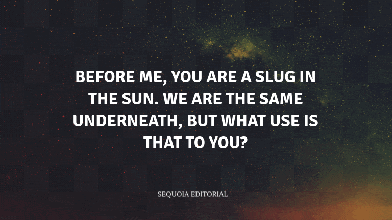Before me, you are a slug in the sun. We are the same underneath, but what use is that to you?